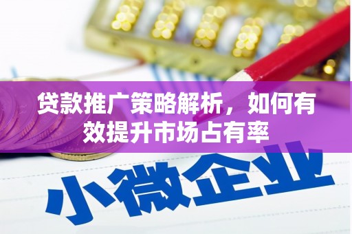 内湖贷款推广策略解析，如何有效提升市场占有率