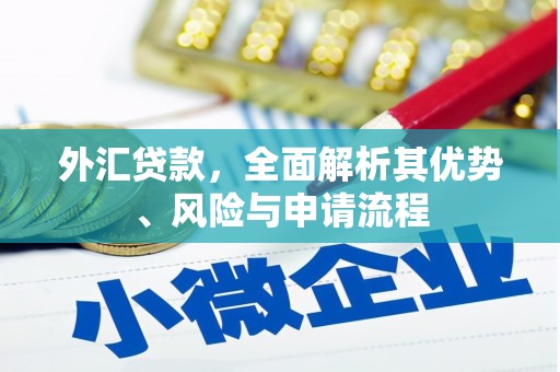 麦寮外汇贷款，全面解析其优势、风险与申请流程