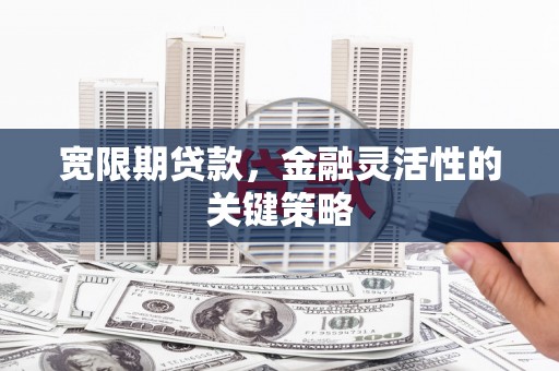 固镇宽限期贷款，金融灵活性的关键策略