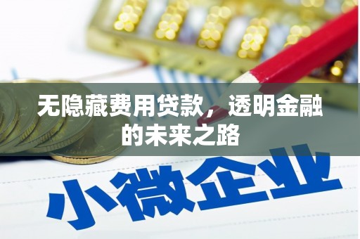 惠东无隐藏费用贷款，透明金融的未来之路