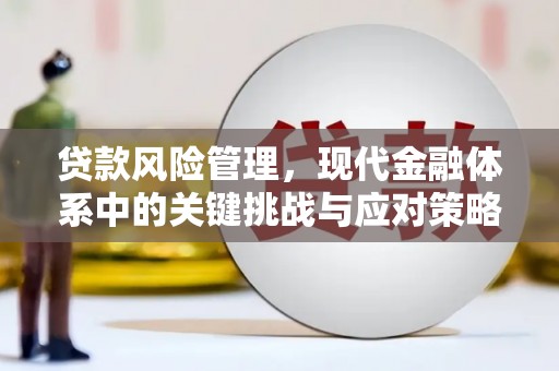 剑川贷款风险管理，现代金融体系中的关键挑战与应对策略