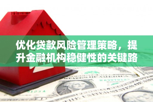 曲水优化贷款风险管理策略，提升金融机构稳健性的关键路径