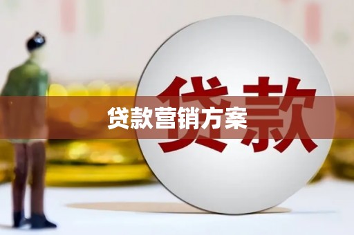 田林贷款营销方案