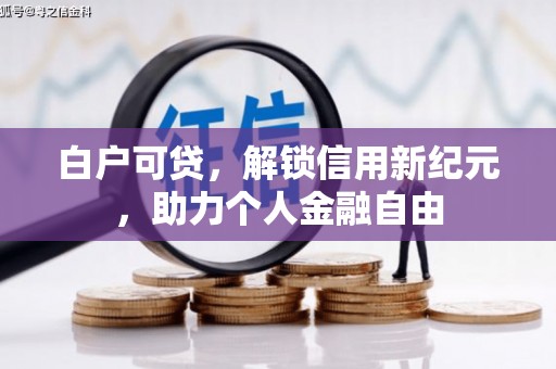 路环岛白户可贷，解锁信用新纪元，助力个人金融自由