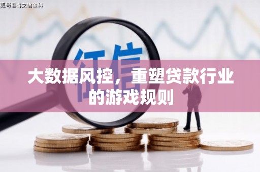 如皋大数据风控，重塑贷款行业的游戏规则