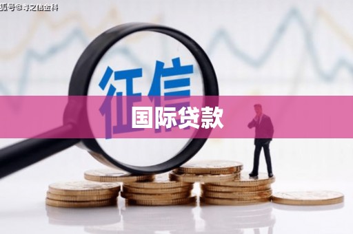 凤林国际贷款