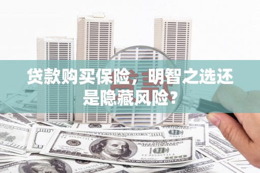 德清贷款购买保险，明智之选还是隐藏风险？