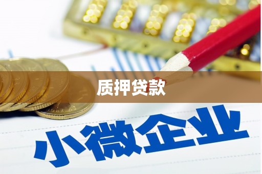 莱城质押贷款