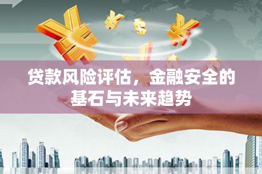 西安贷款风险评估，金融安全的基石与未来趋势