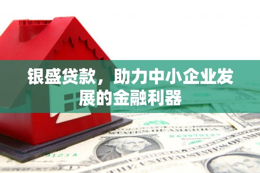 复兴银盛贷款，助力中小企业发展的金融利器