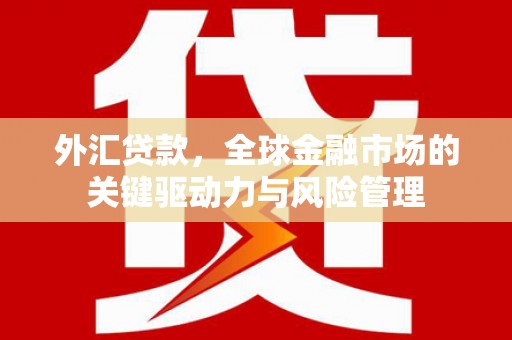 士林外汇贷款，全球金融市场的关键驱动力与风险管理