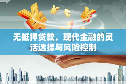 岳塘无抵押贷款，现代金融的灵活选择与风险控制