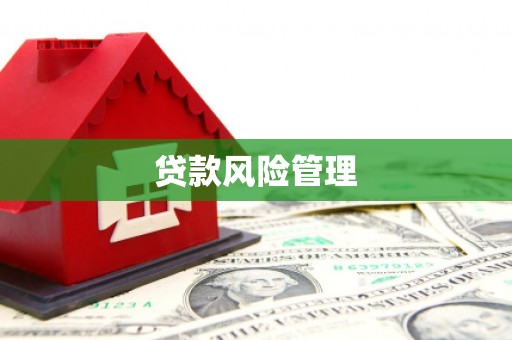 番路贷款风险管理