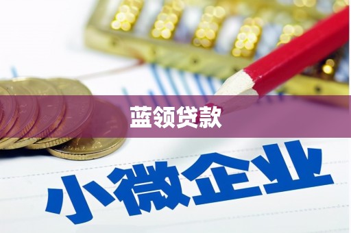 灌云蓝领贷款