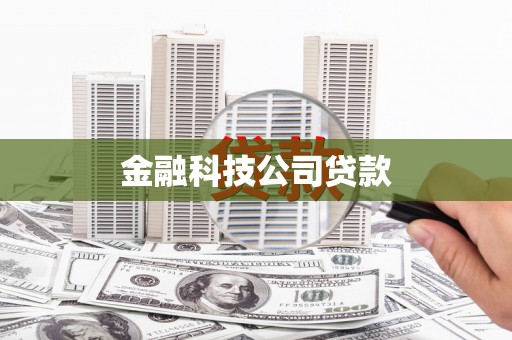 德保金融科技公司贷款