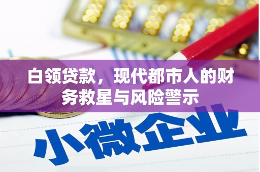 岭东白领贷款，现代都市人的财务救星与风险警示