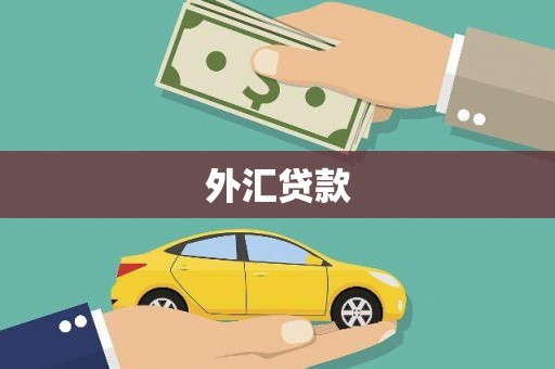 青秀外汇贷款