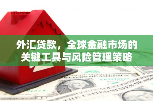 新华外汇贷款，全球金融市场的关键工具与风险管理策略