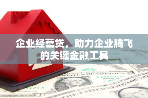 太麻里企业经营贷，助力企业腾飞的关键金融工具