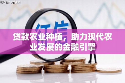 南海贷款农业种植，助力现代农业发展的金融引擎