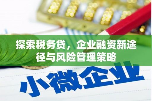 新蔡探索税务贷，企业融资新途径与风险管理策略