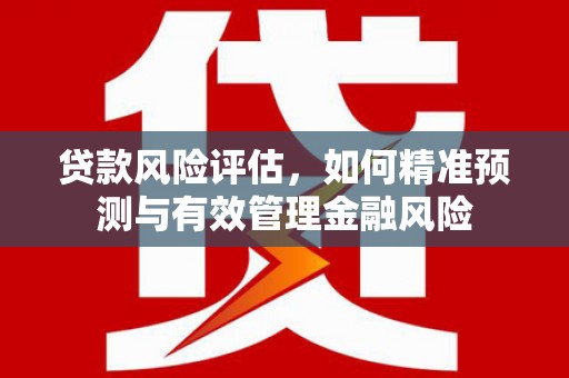 岳阳贷款风险评估，如何精准预测与有效管理金融风险