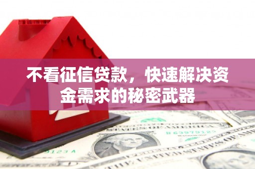 抚远不看征信贷款，快速解决资金需求的秘密武器