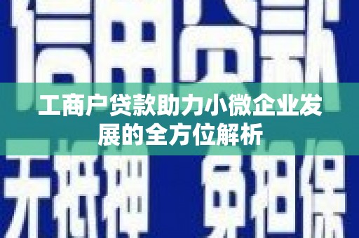 芦山工商户贷款助力小微企业发展的全方位解析