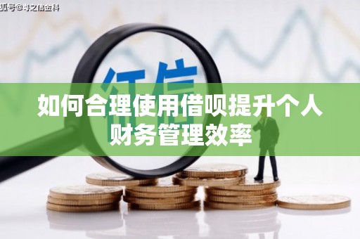 水林如何合理使用借呗提升个人财务管理效率