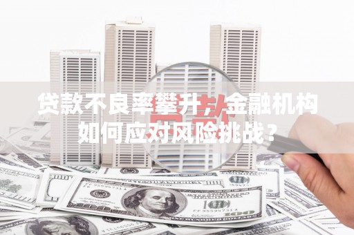 凤泉贷款不良率攀升，金融机构如何应对风险挑战？
