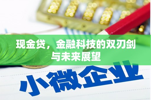 巴青现金贷，金融科技的双刃剑与未来展望
