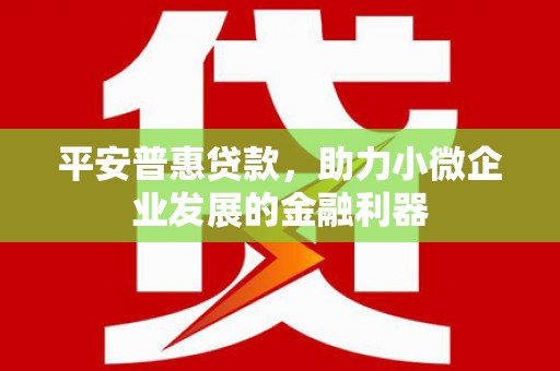 双牌平安普惠贷款，助力小微企业发展的金融利器
