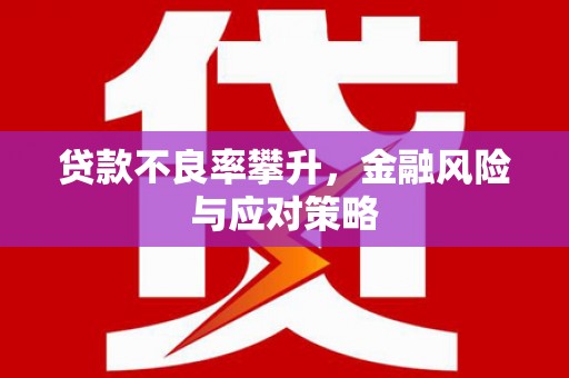 顺庆贷款不良率攀升，金融风险与应对策略