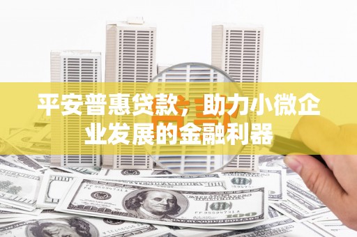 息县平安普惠贷款，助力小微企业发展的金融利器