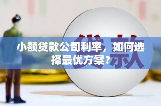 仙游小额贷款公司利率，如何选择最优方案？