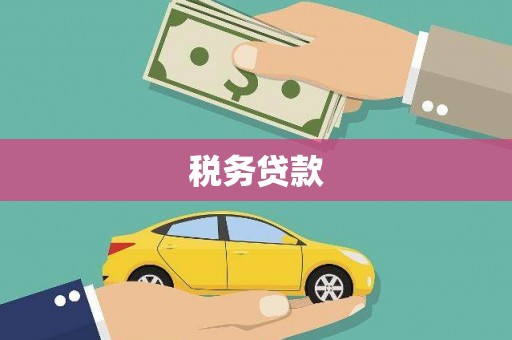 山东税务贷款