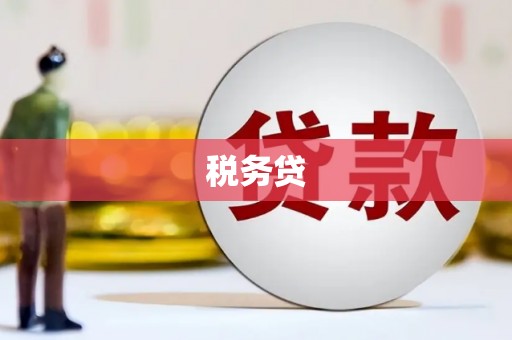 洋县税务贷