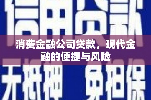 普格消费金融公司贷款，现代金融的便捷与风险