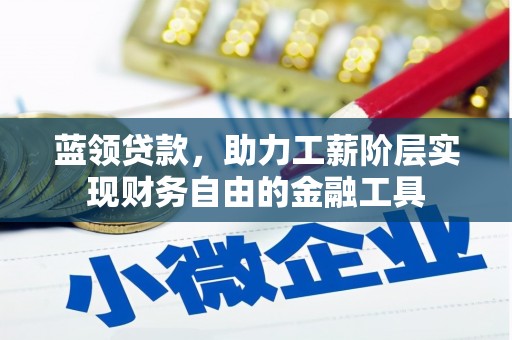 郴州蓝领贷款，助力工薪阶层实现财务自由的金融工具