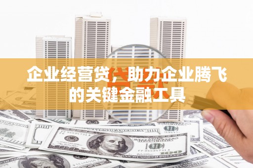 灵山企业经营贷，助力企业腾飞的关键金融工具