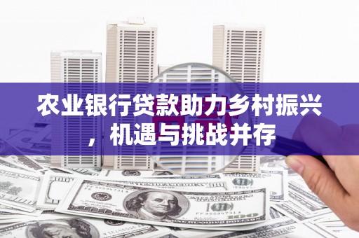 莱山农业银行贷款助力乡村振兴，机遇与挑战并存