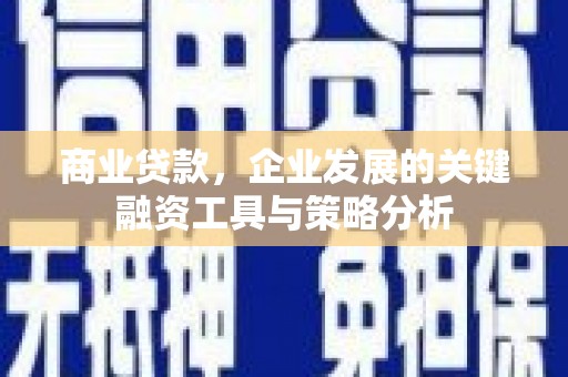 宝兴商业贷款，企业发展的关键融资工具与策略分析