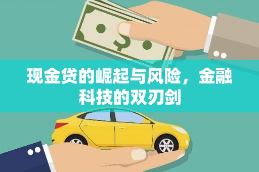 云林现金贷的崛起与风险，金融科技的双刃剑