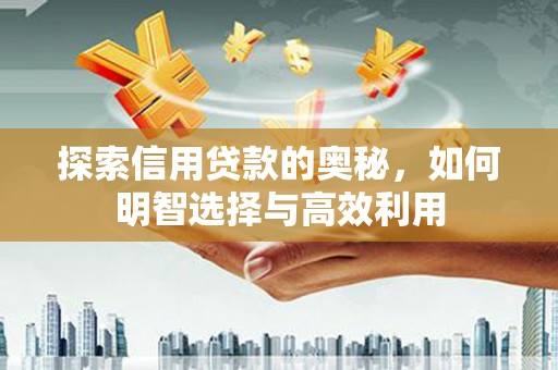 嵊泗探索信用贷款的奥秘，如何明智选择与高效利用