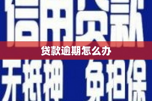 梓官贷款逾期怎么办