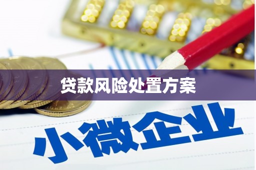 贵德贷款风险处置方案