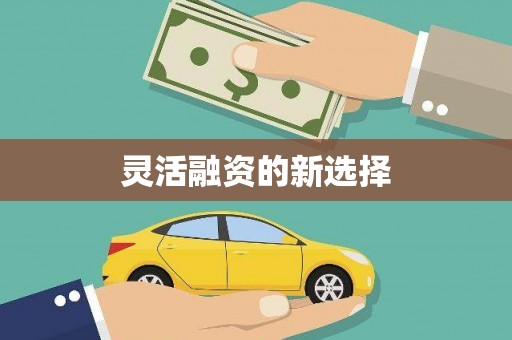略阳灵活融资的新选择