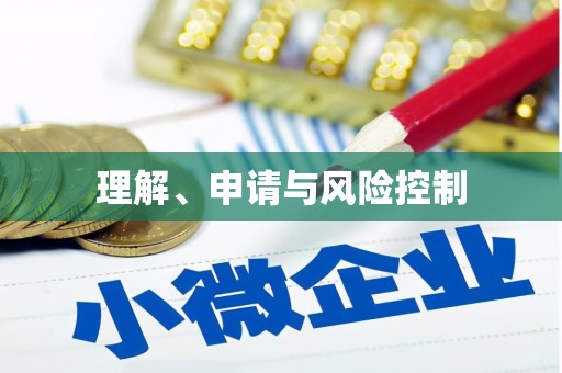 聂荣理解、申请与风险控制