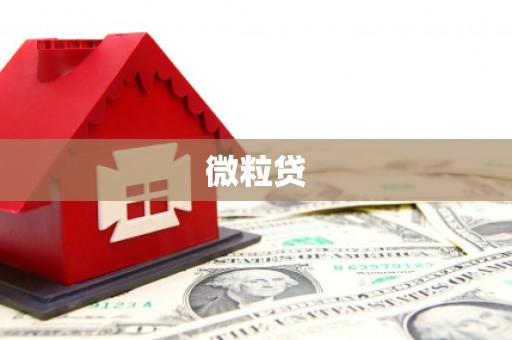 礼县微粒贷