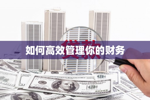 汉源如何高效管理你的财务